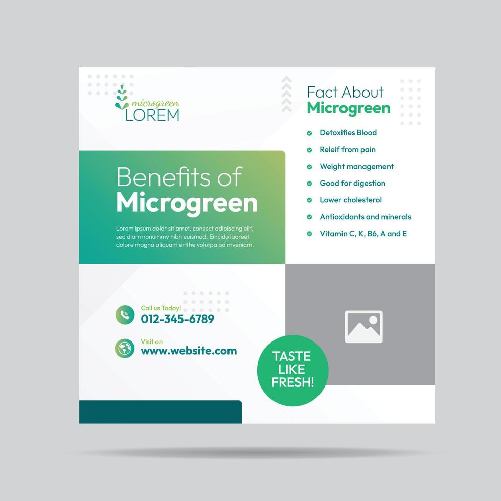 Microgreen Benefit Social Media Post Design and Microgreen plantation company banner Template vector