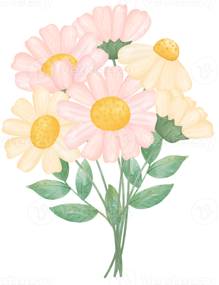 cute daisy flower watercolour illustration png