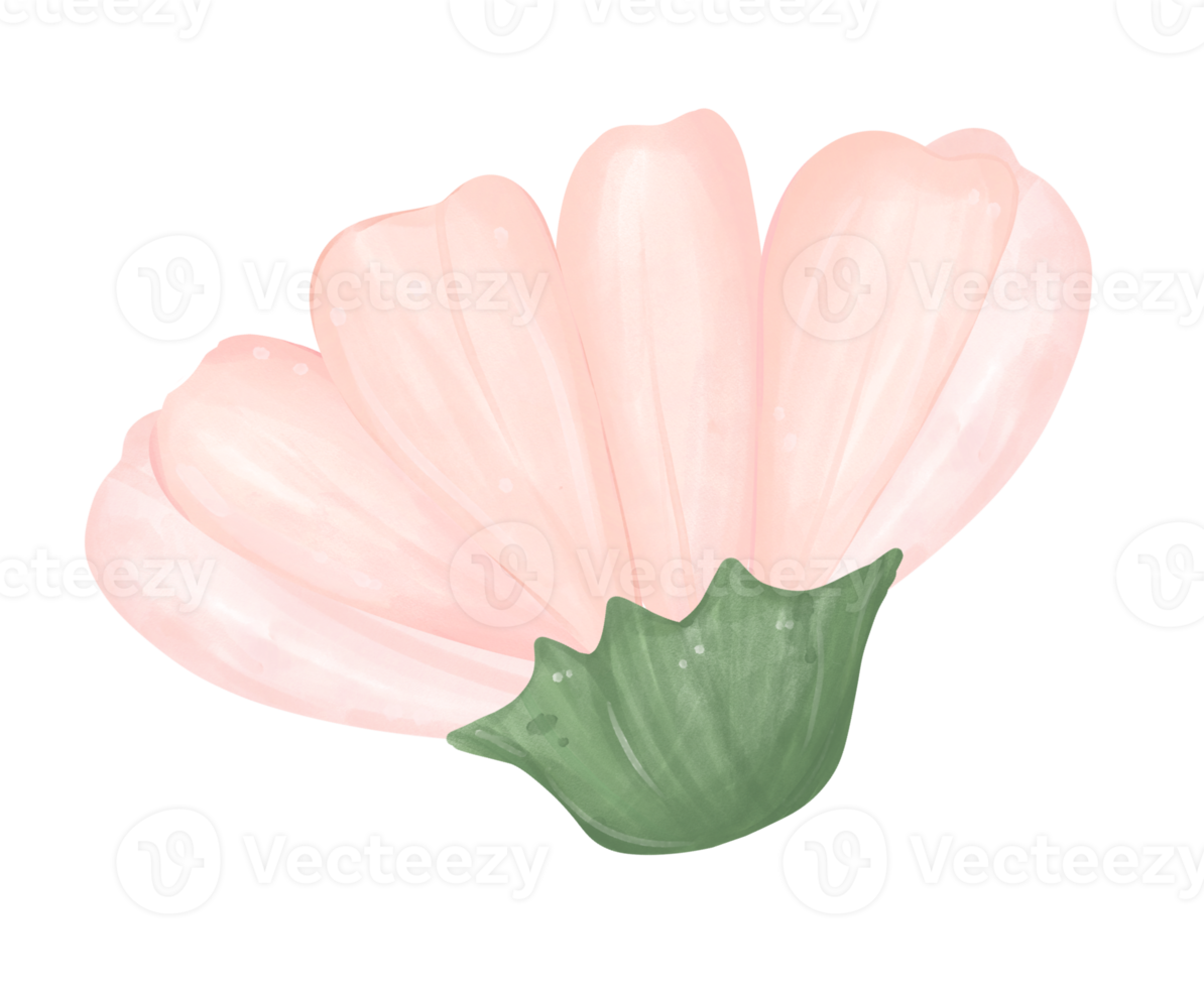 schattig madeliefje bloem waterverf illustratie png