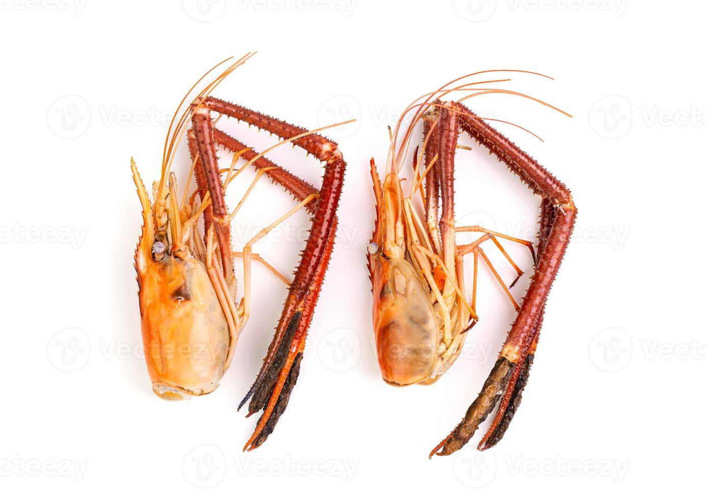 two shrimp head And shrimp shells, food scraps, leftovers, waste, natural seafood. lunch. dinner isolated on white background photo