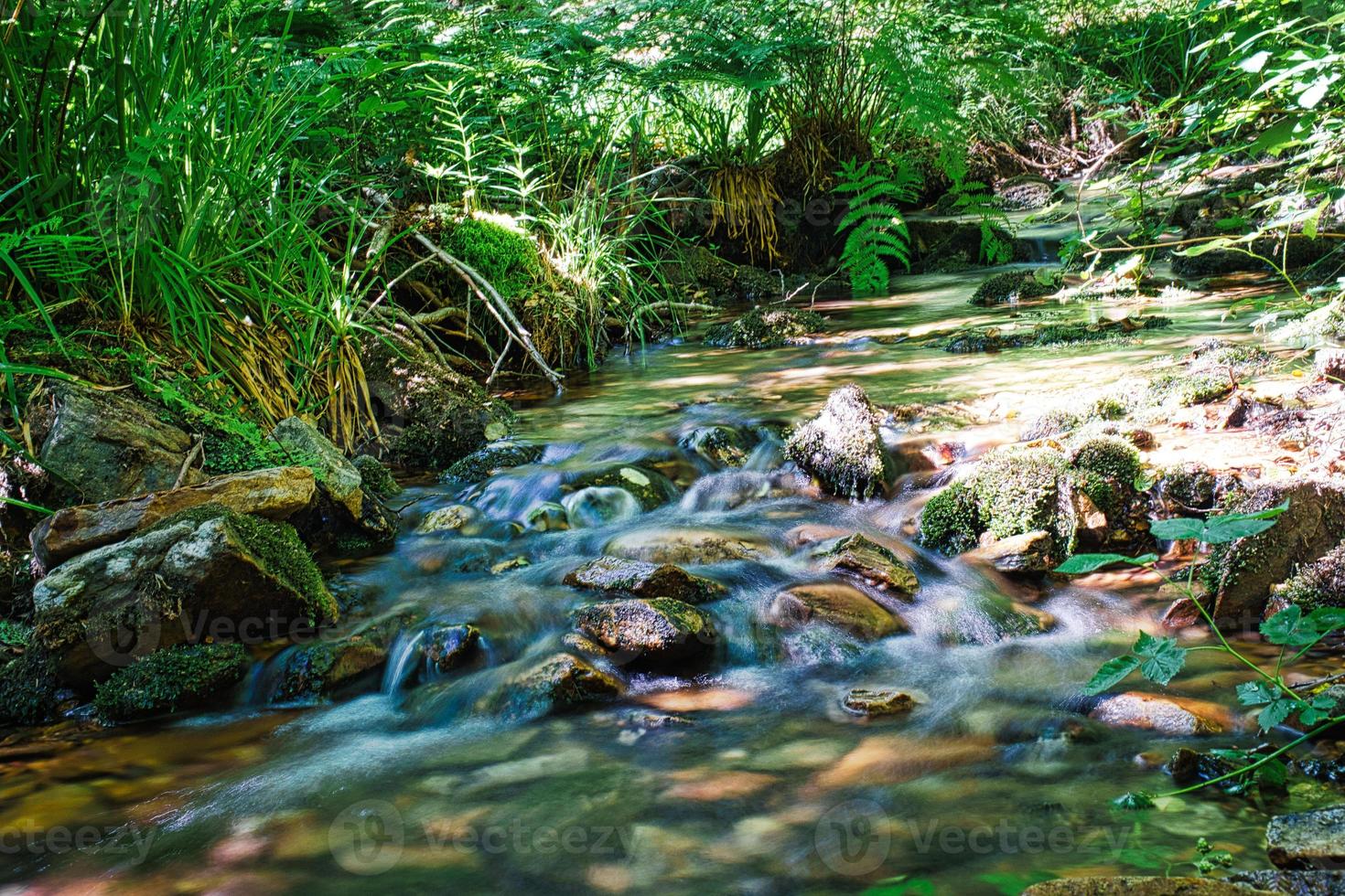 un arroyo del bosque capturado con una larga exposición. foto