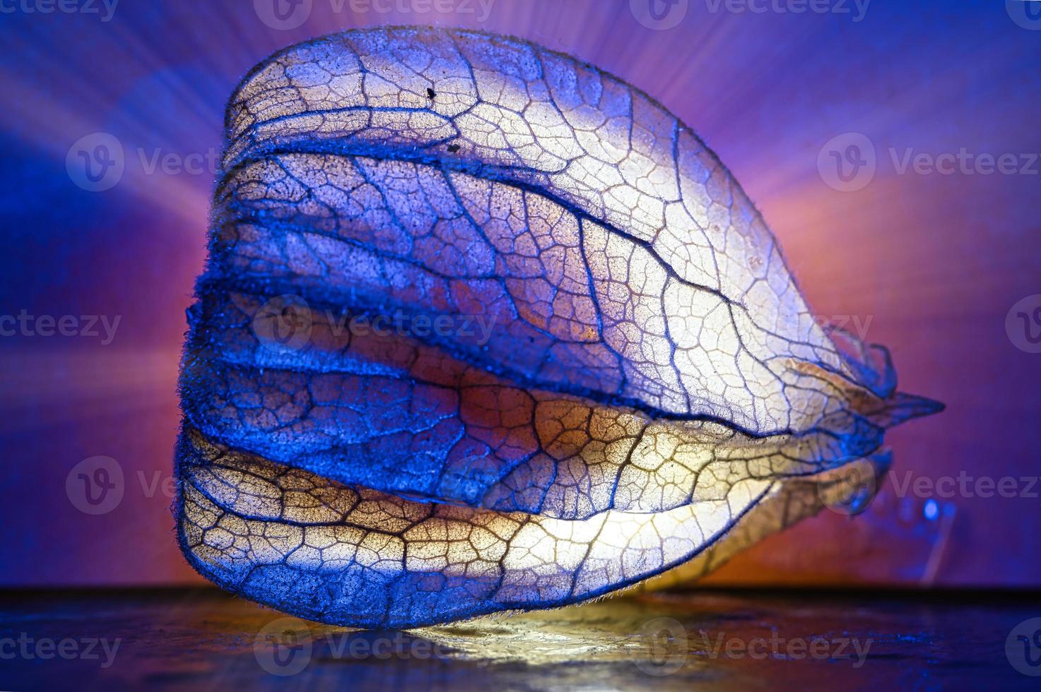 physalis illuminated. Light rays shine behind the fruit past the side. Vitamin C photo