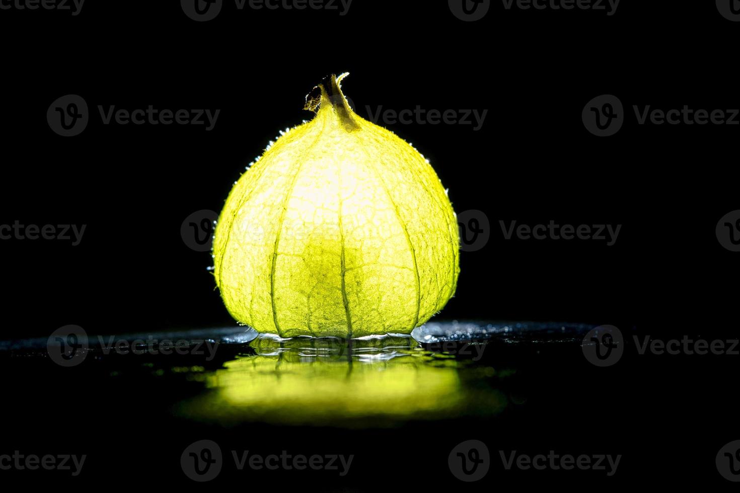 Physalis on black wet soil with black background. Illuminated fruit. Vitamin C photo