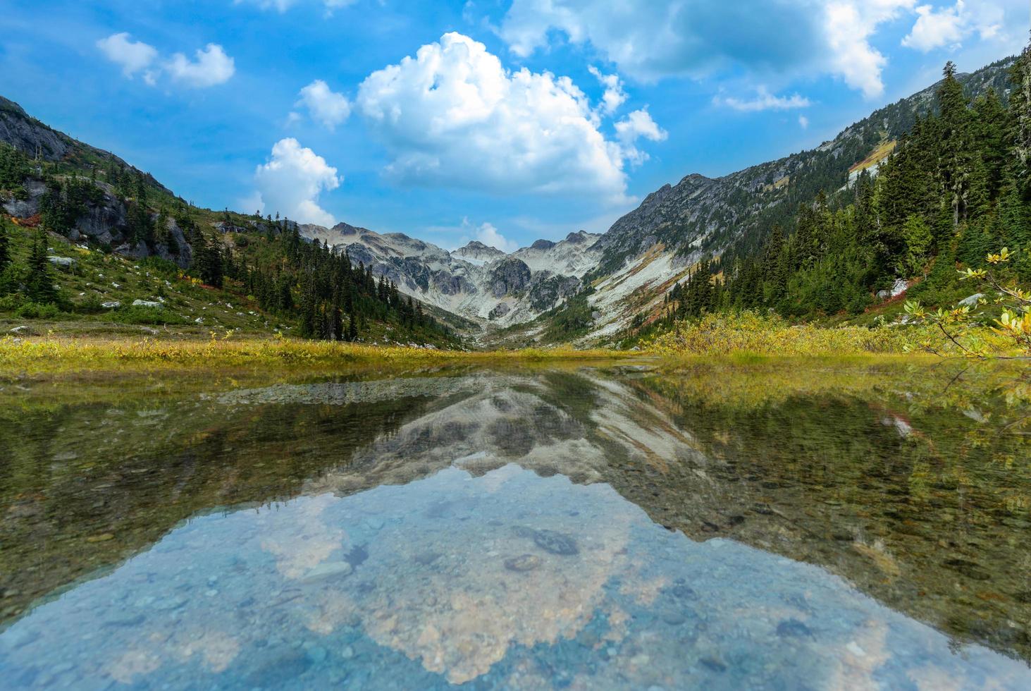 Brandywine Meadows Reflection photo