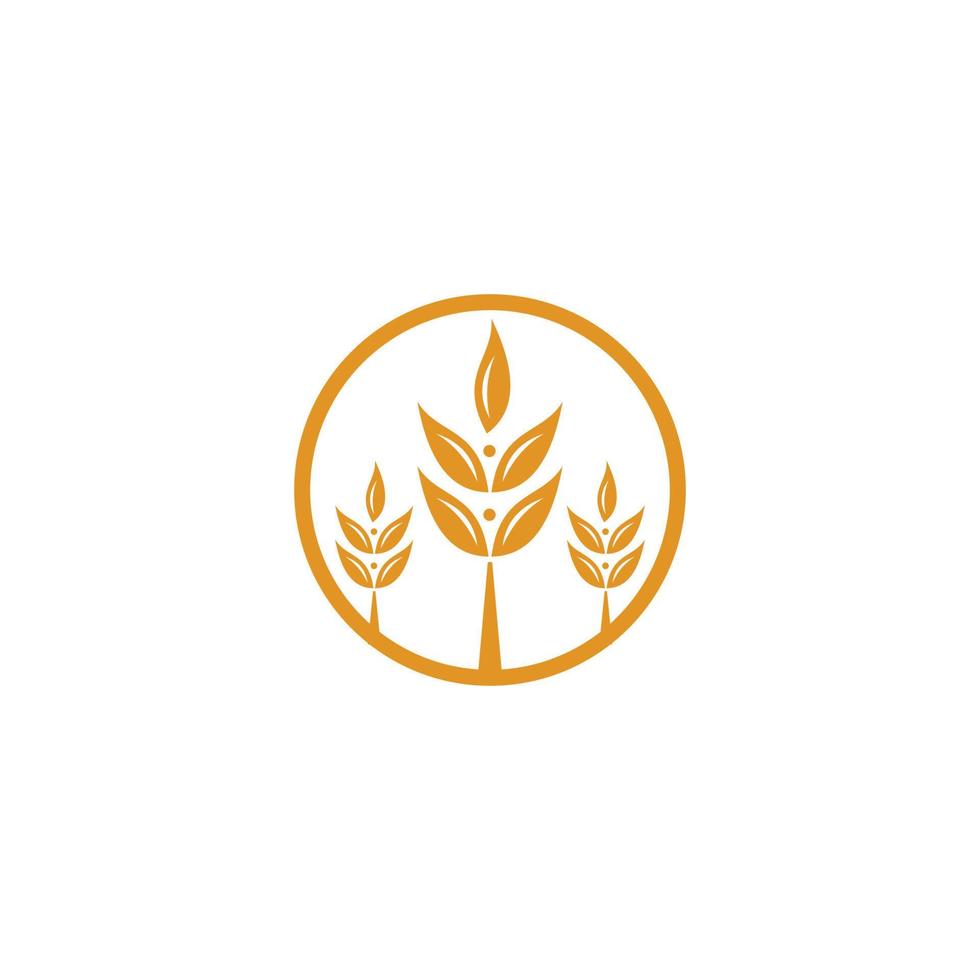 yellow wheat icon logo vector