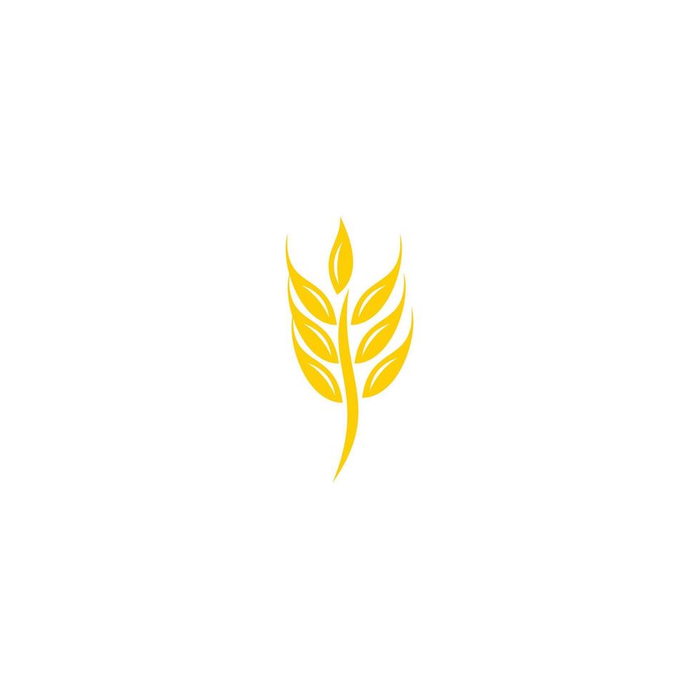 wheat stalk logo design vector