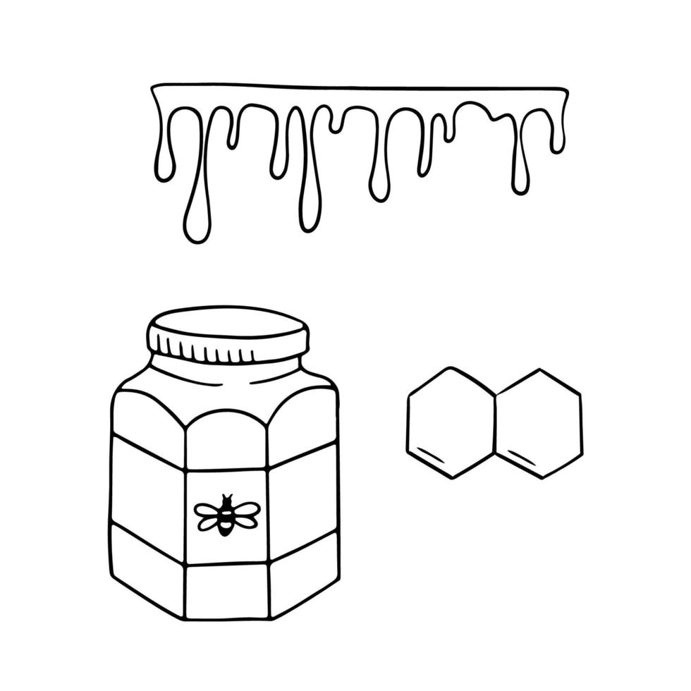 Jar of honey, honeycombs and drops. Black and white vector doodle illustration isolated on white background.