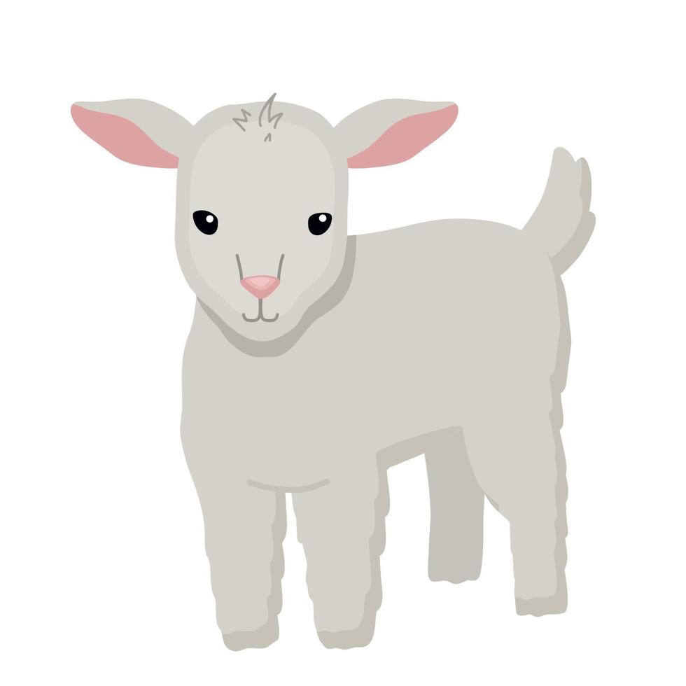 lindo personaje de cordero aislado sobre fondo blanco. ilustración plana vectorial infantil con animales de granja para niños vector