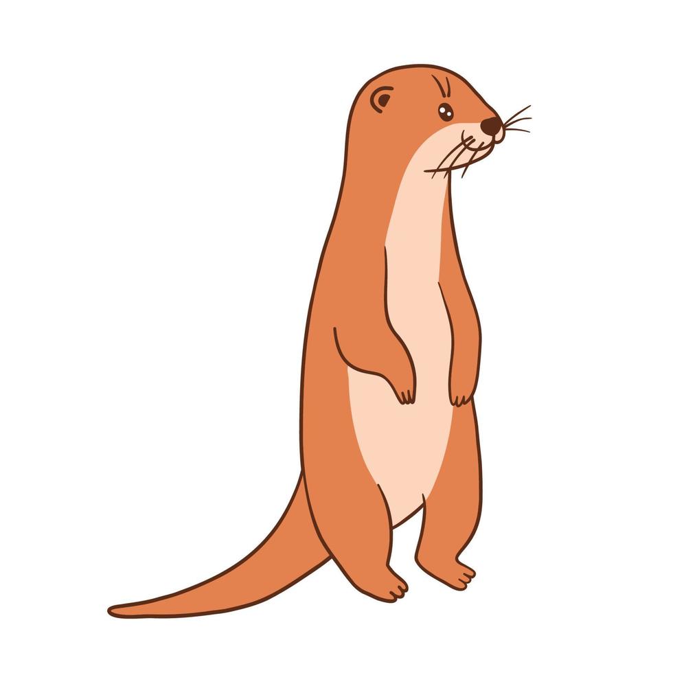 Cute otter, vector flat cartoon illustration isolated on white background. Otters standing.