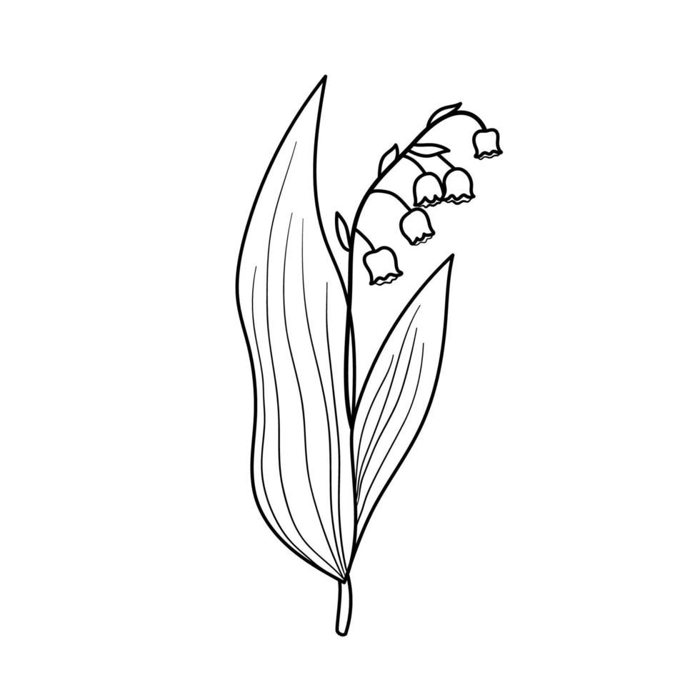 flor de lirio de los valles. planta vectorial de contorno aislada en blanco vector