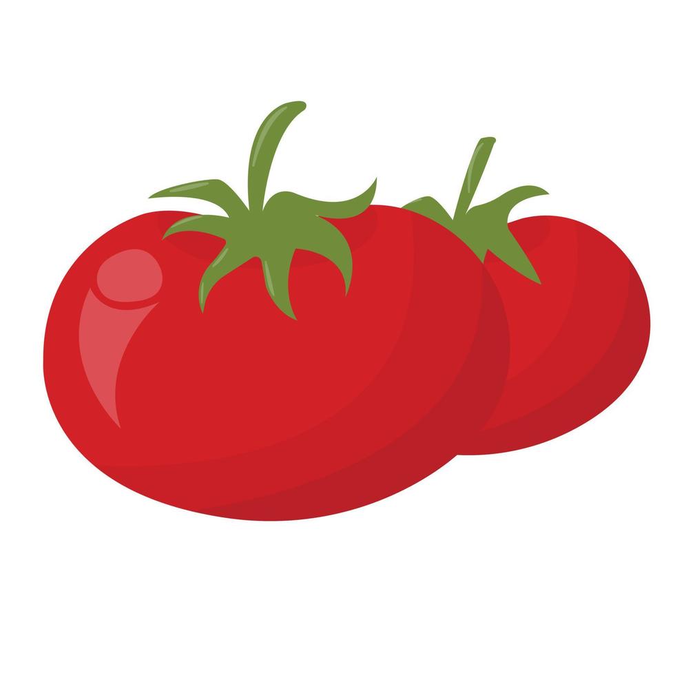 Two ripe red tomatoes. Vector illustration.