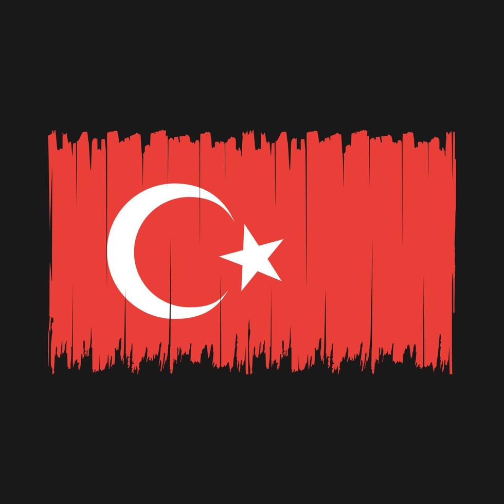 vector de pincel de bandera de turquía