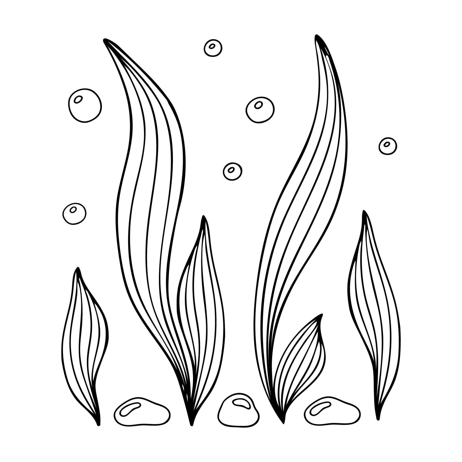 Free Seaweed Drawings Coloring Pages Sketch Coloring Page