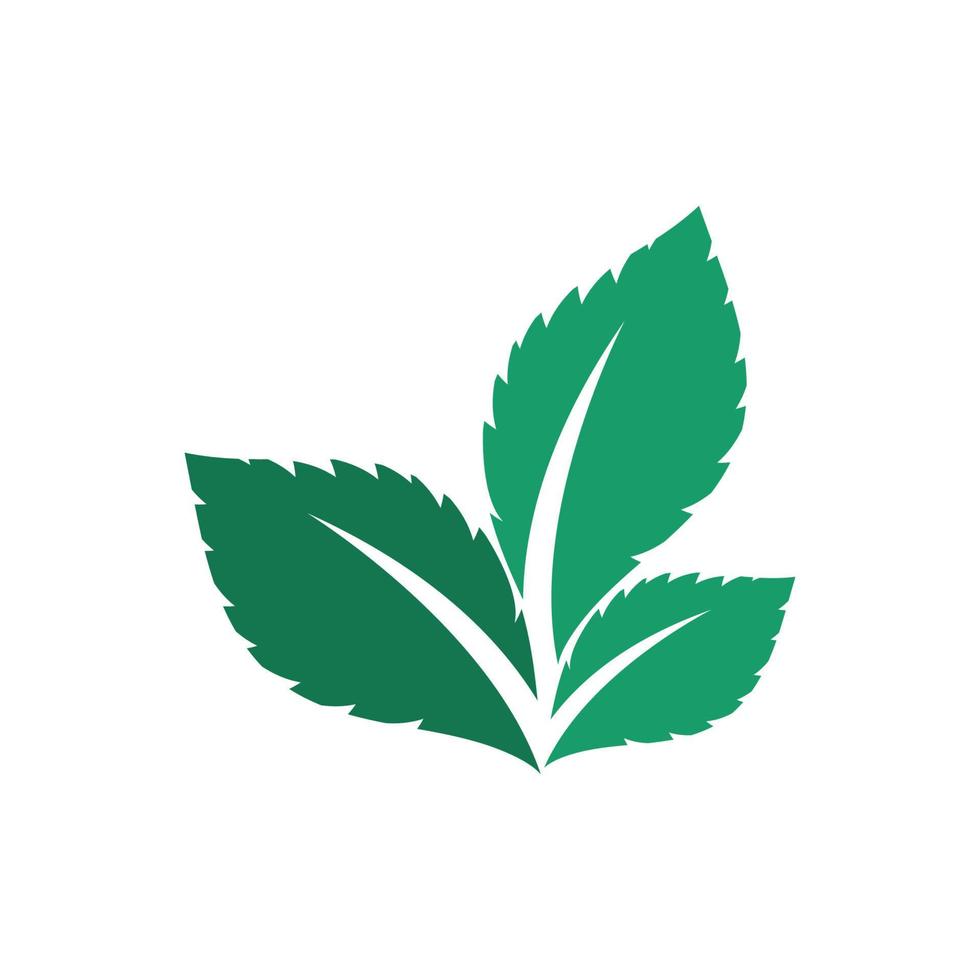 Green leaf logo ecology nature element vector icon