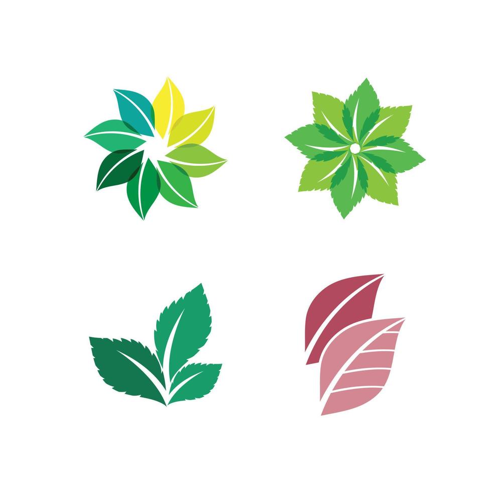 hoja verde logo ecología naturaleza elemento vector icono