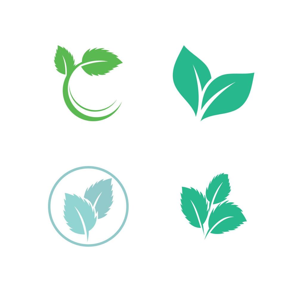 hoja verde logo ecología naturaleza elemento vector icono