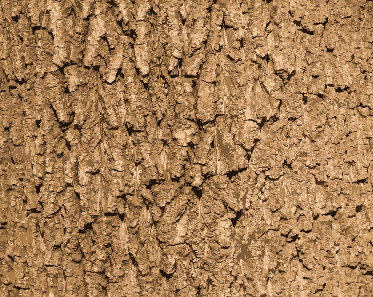 PrintRealistic vector illustration of maple bark close up. Acer barrel texture. Background from living wood. Skin of the forest nature.