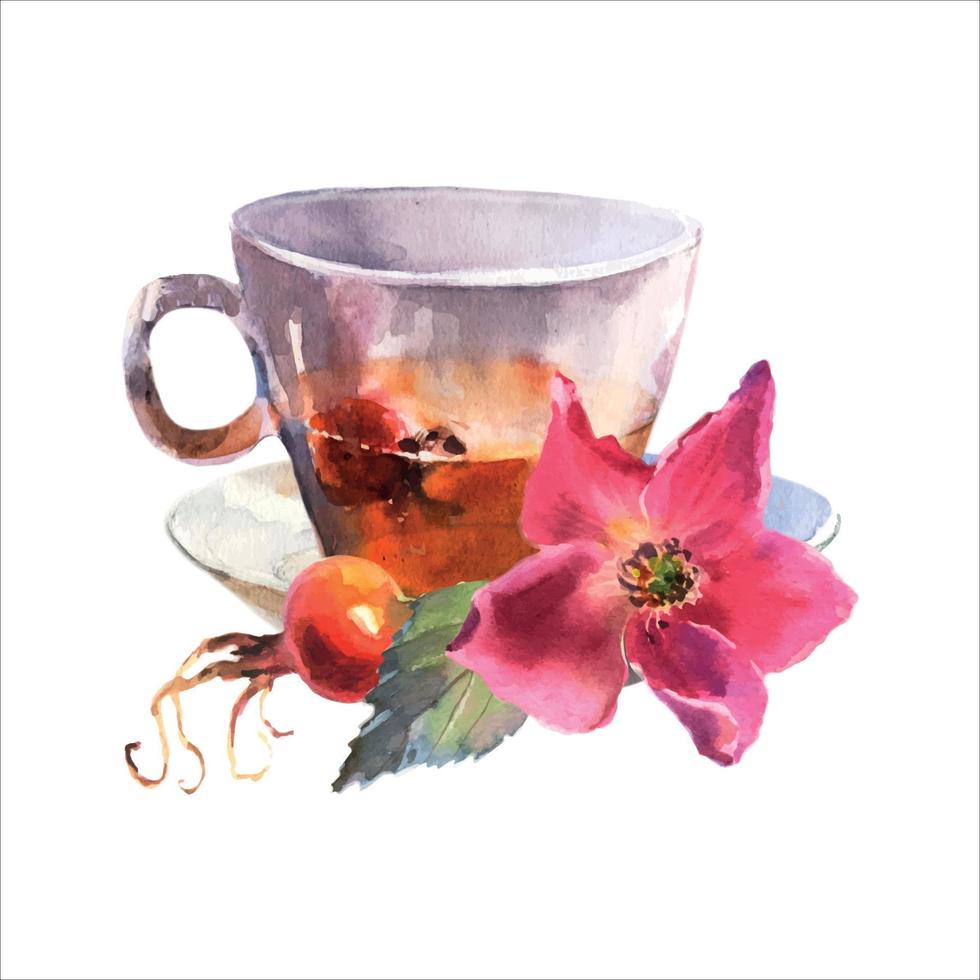 watercolor illustration, cup decorated with pink dog rose flowers and red berries, rosehip arrangement clip art, isolated on white background vector