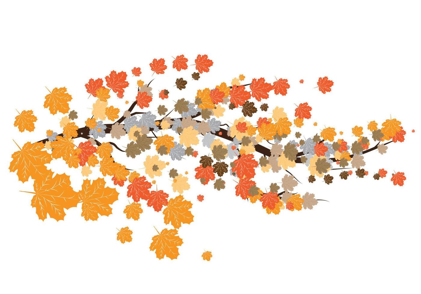 autumn, branches and orange leaves. vector
