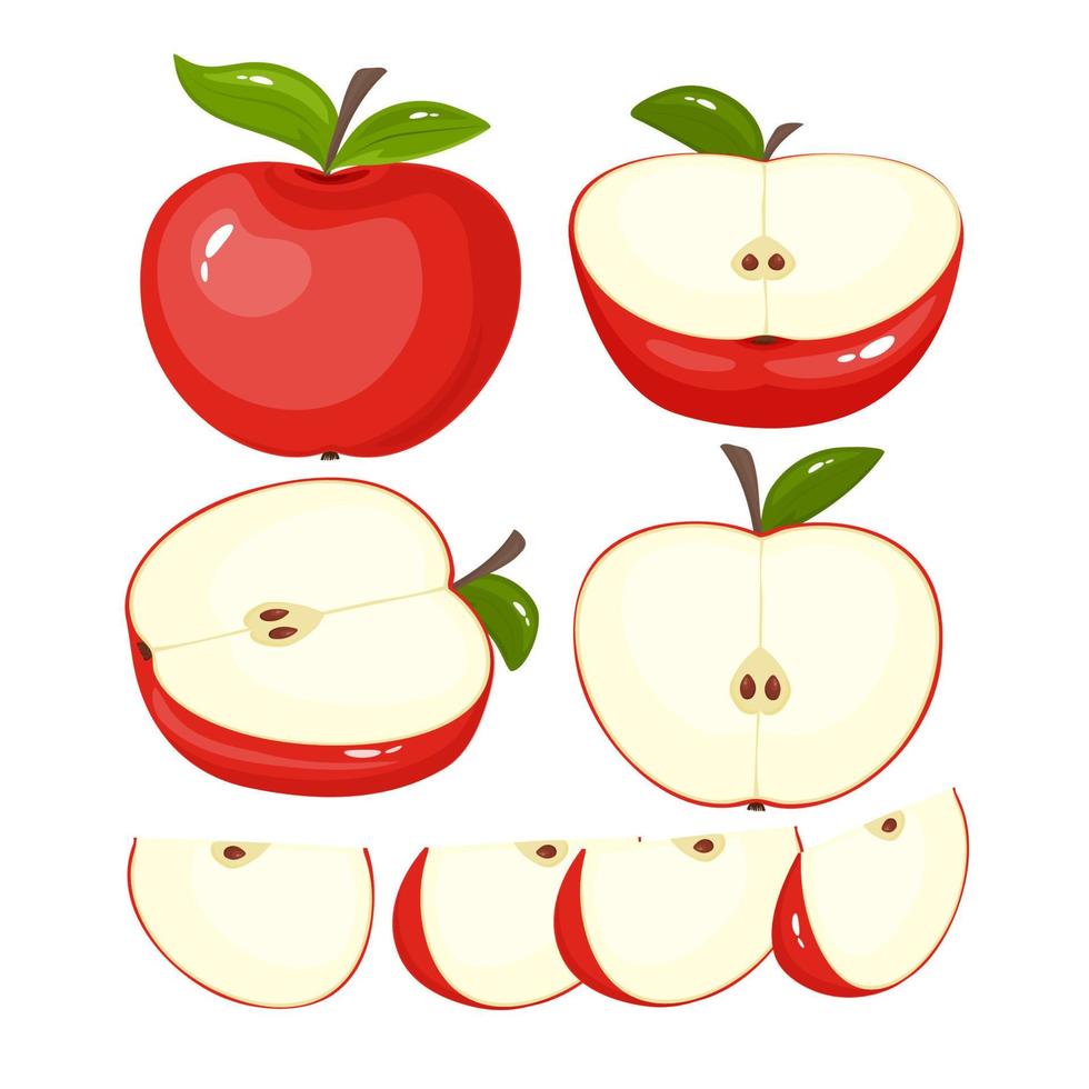 Set of isolated red apple vector