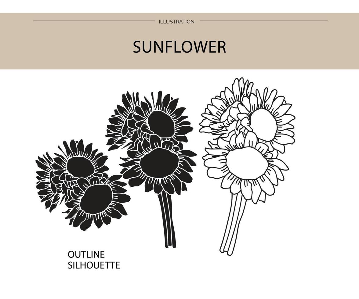 girasol silueta vector