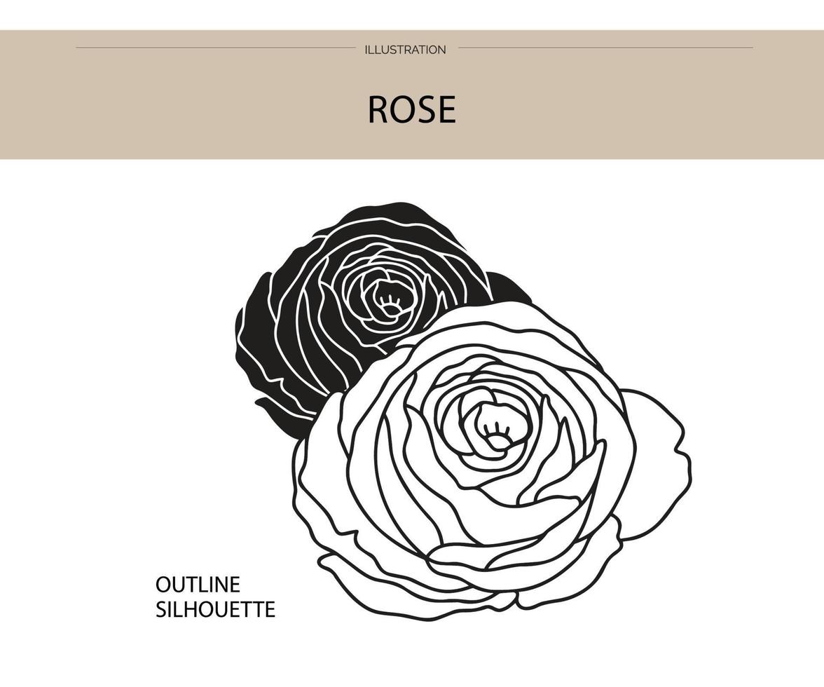 Rose Flower silhouette vector