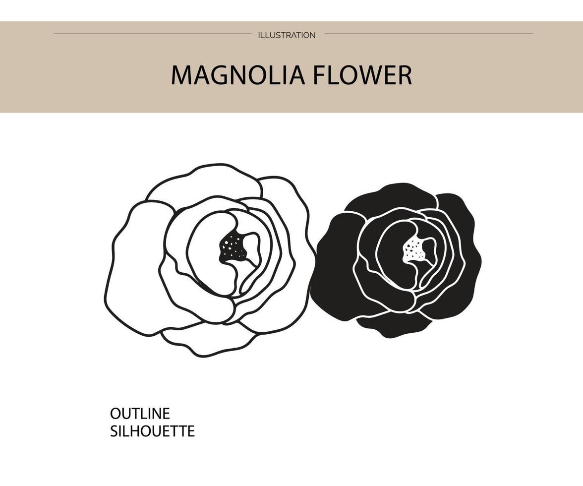 Magnolia flower silhouette vector