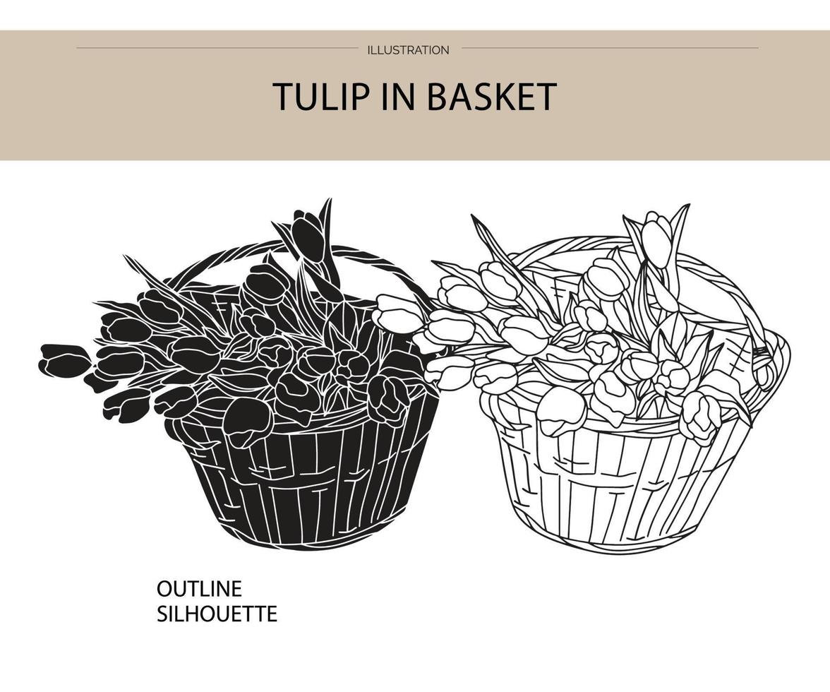 tulipán, en, cesta, silueta, vector