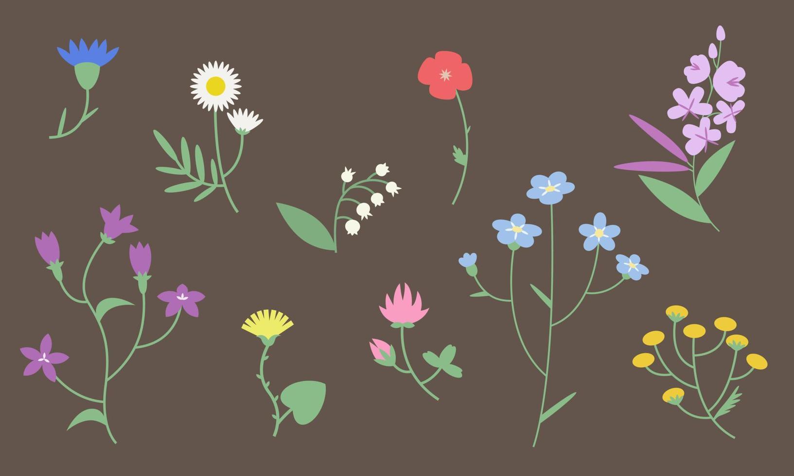 conjunto de diferentes flores silvestres. vector
