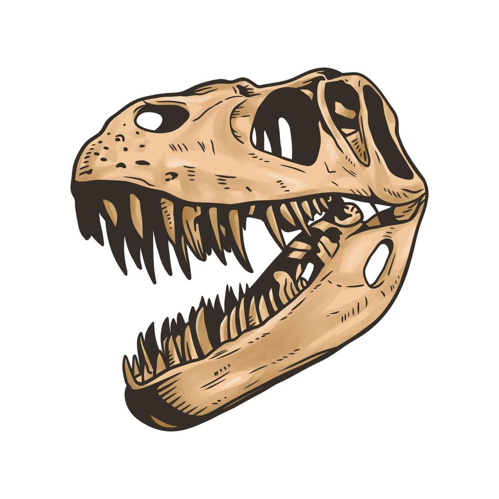 esqueleto de cabeza de dinosaurio clip art vectorial sobre fondo blanco vector