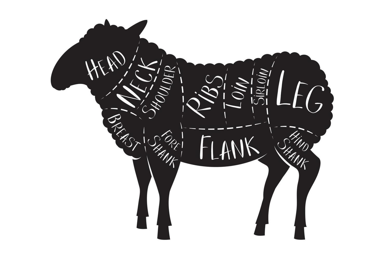 Butcher's Guide - Lamb vector