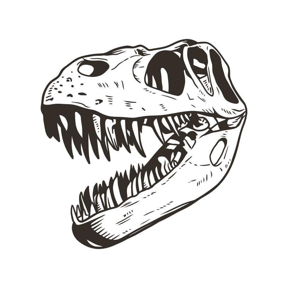 esqueleto de cabeza de dinosaurio dibujado a mano ilustración de arte de línea sobre fondo blanco vector