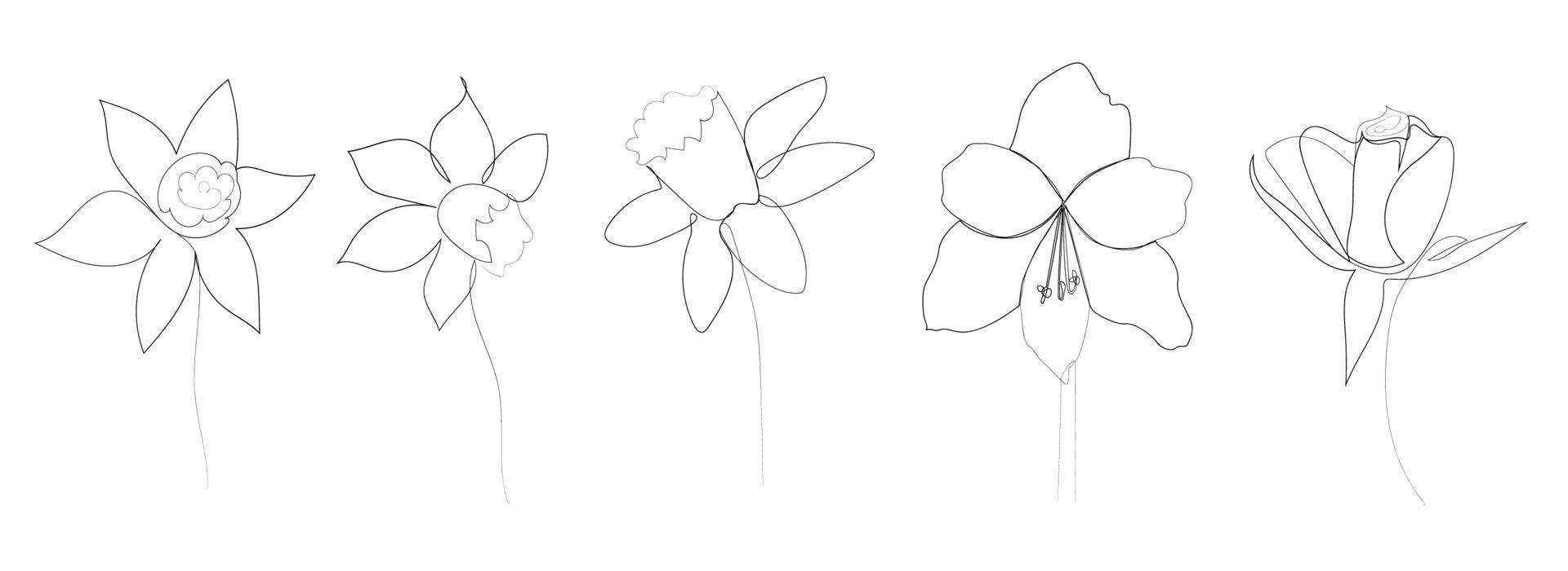 continuous line drawing of beautiful flowers vector