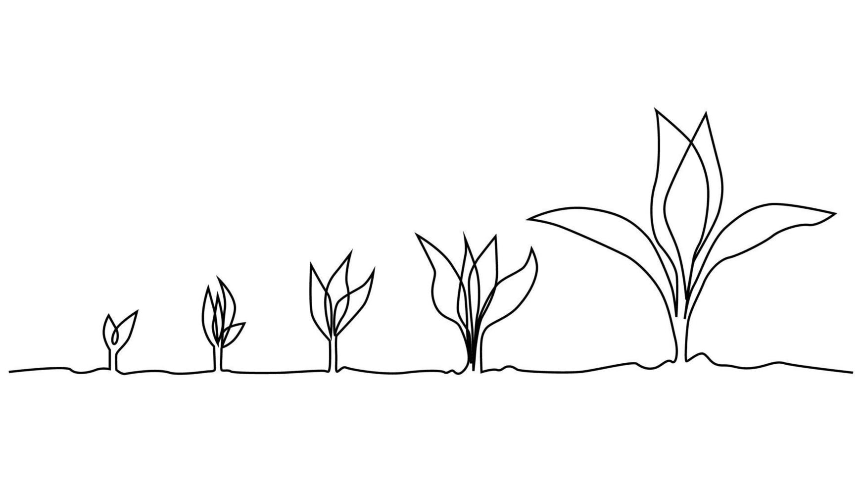 fase de la vida vegetal dibujo continuo de una línea ilustración minimalista de semillas y hojas vector