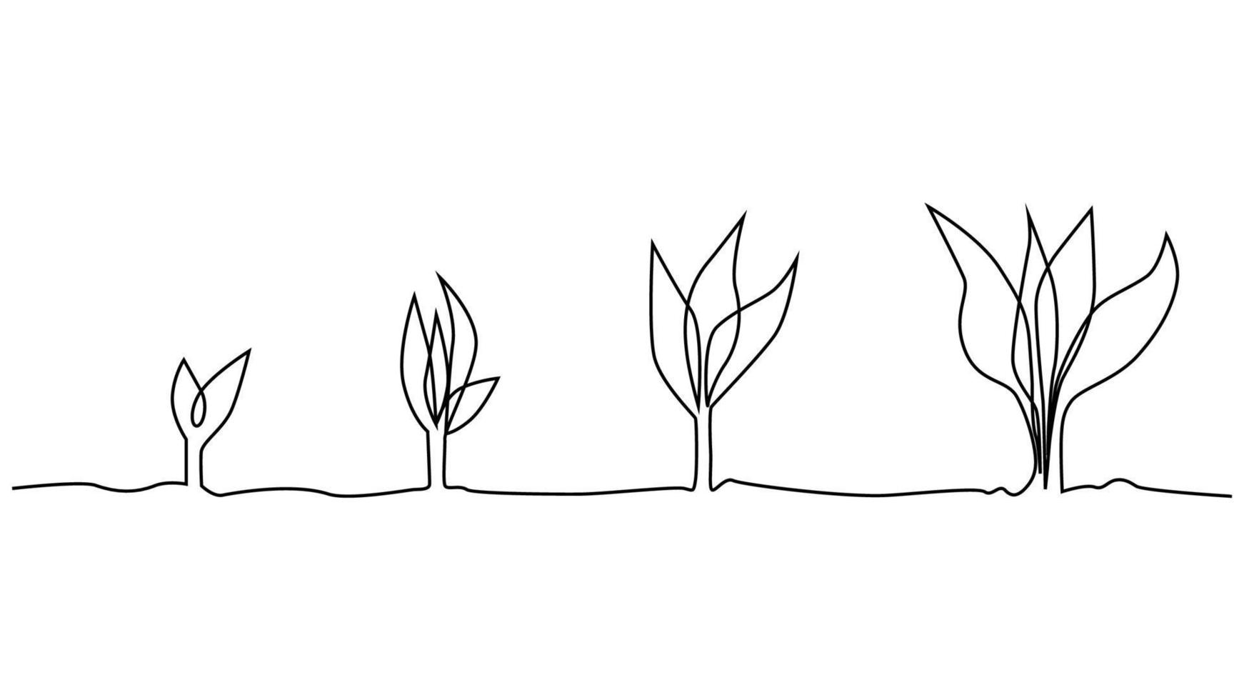 fase de la vida vegetal dibujo continuo de una línea ilustración minimalista de semillas y hojas vector