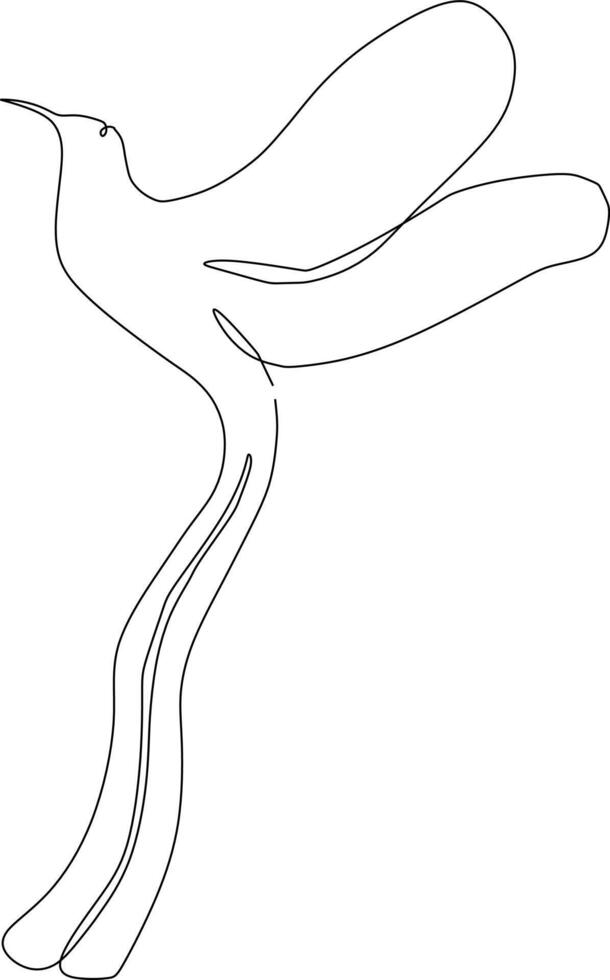 continuous line art drawing of bird vector