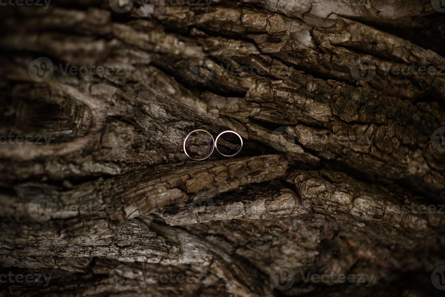 wedding rings in hand. Two wedding rings on the floor with contrast wedding rings on floor, on ground, on piano, in hand on grass or a stones, photo