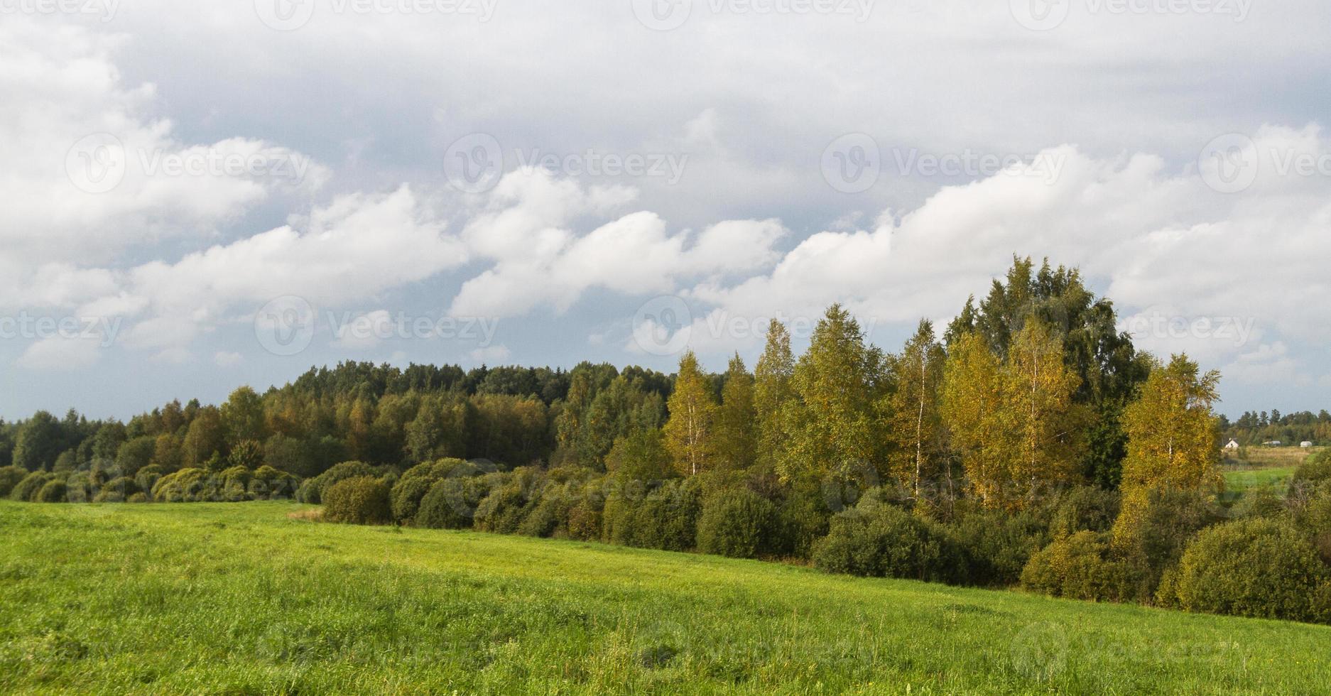 paisajes rurales de verano en los estados bálticos foto