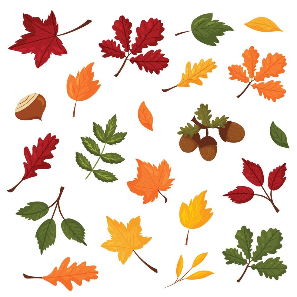 Set of colorful leaves with acorns vector