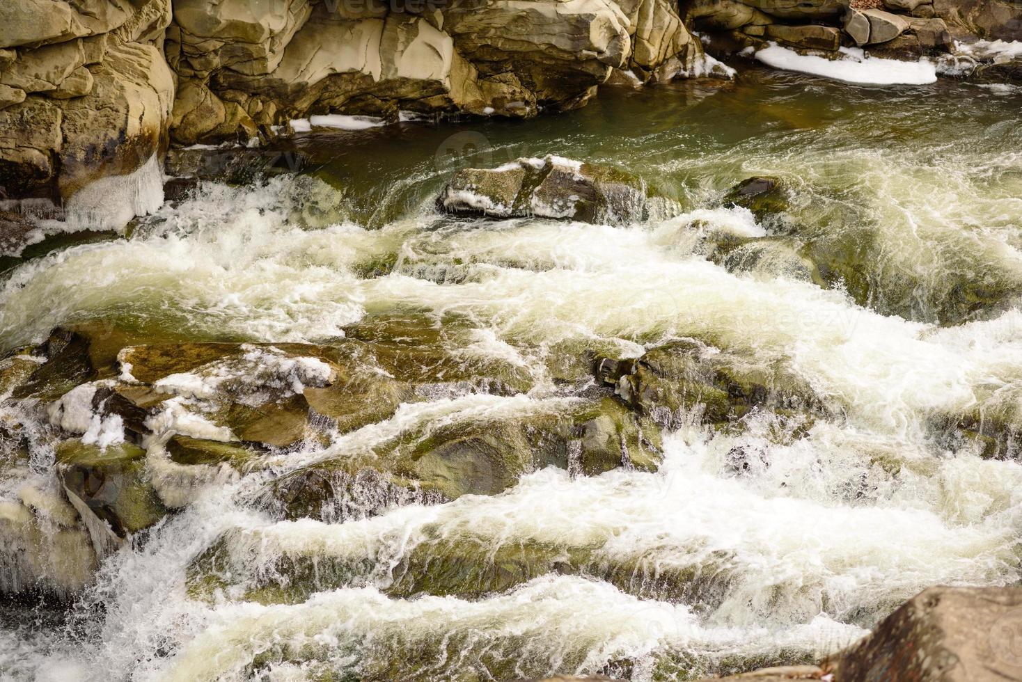 Mountain river in a beautiful winter green coniferous forest on the slopes of the mountains photo