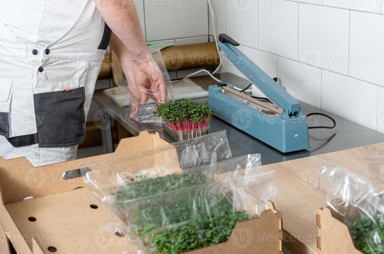 Packaging of the harvest of micro-green peas for sale in the sup photo