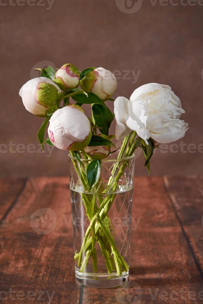 hermoso bodegón con peonías blancas sobre un fondo oscuro. un delicado ramo romántico para una boda, fiesta, aniversario. una foto para una postal.