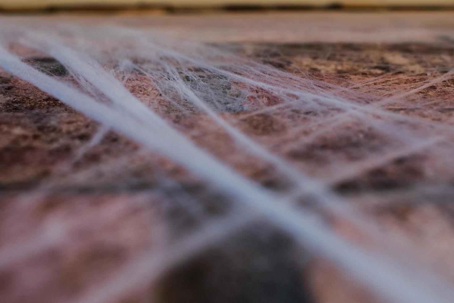 Thick Webbing covering Brick Wall photo