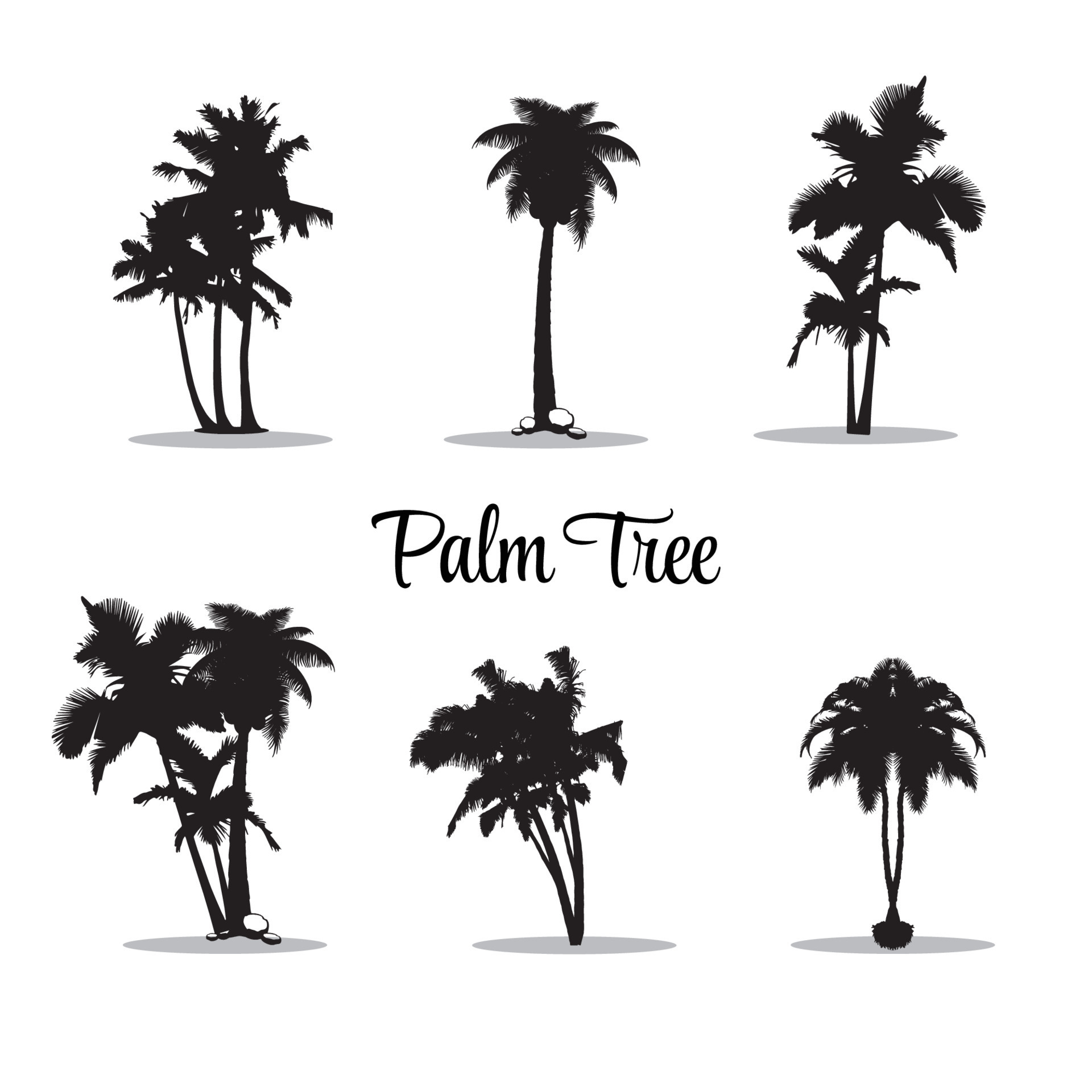 Palm icons set. 6 black palm tree silhouettes isolated on white