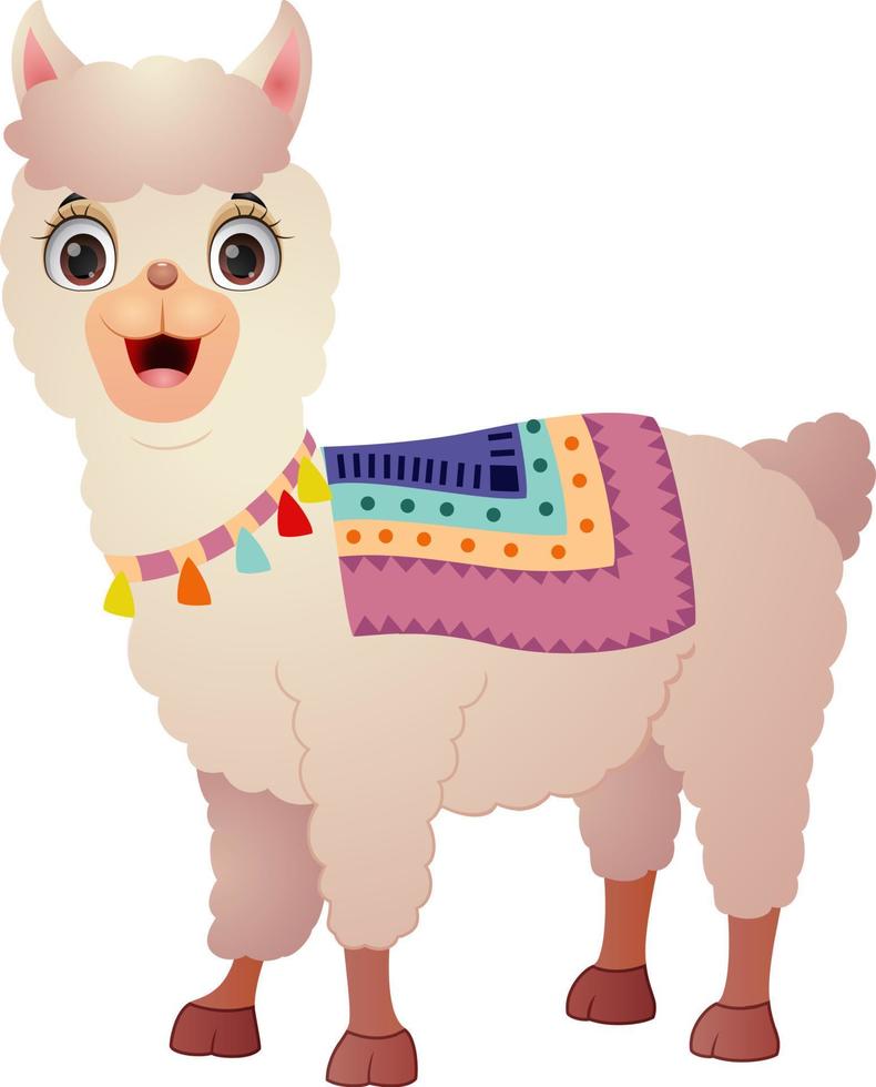 Cute llama on white background vector