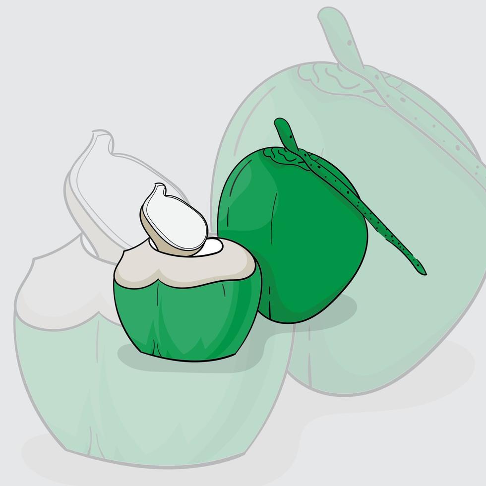 Two young coconuts with one fruit that is already open in cartoon design for healthy food design vector