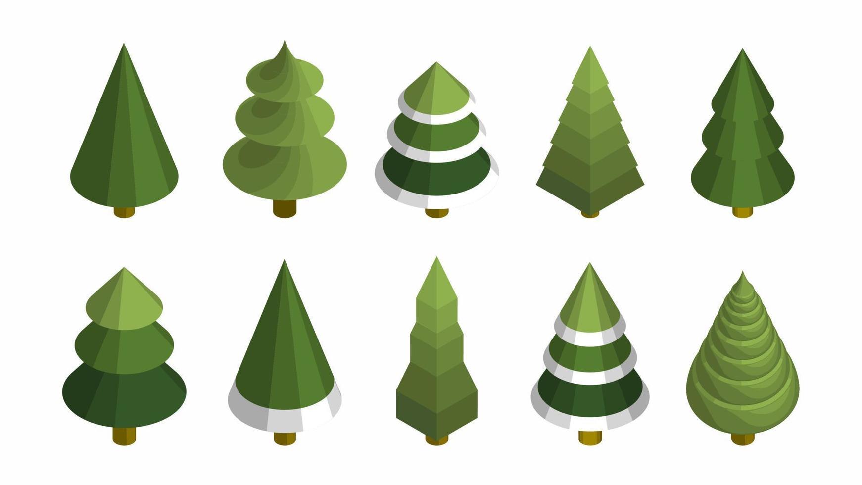 isometric pine tree vector illustration