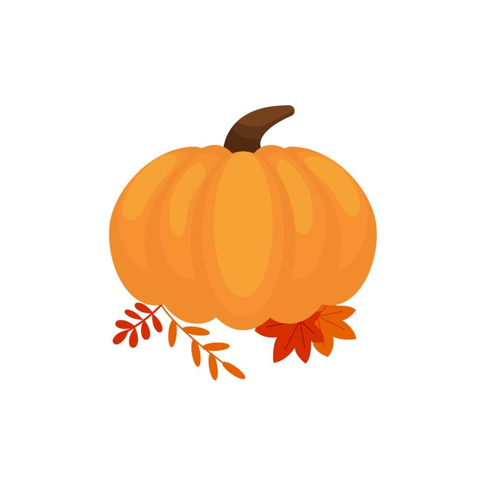 Ilustración de vector de calabaza naranja. calabaza de halloween de otoño, icono gráfico vegetal o impresión, aislado sobre fondo blanco.