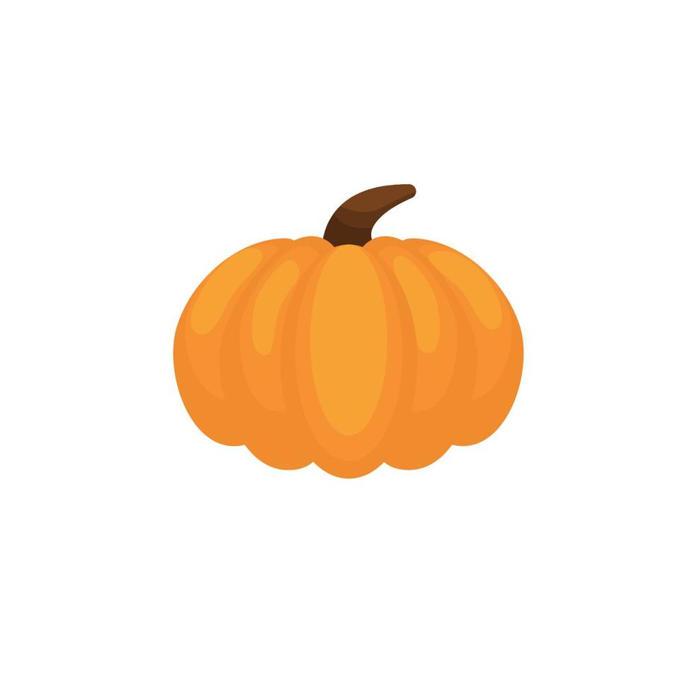 Orange pumpkin vector illustration. Autumn halloween pumpkin, vegetable graphic icon or print, isolated on white background.