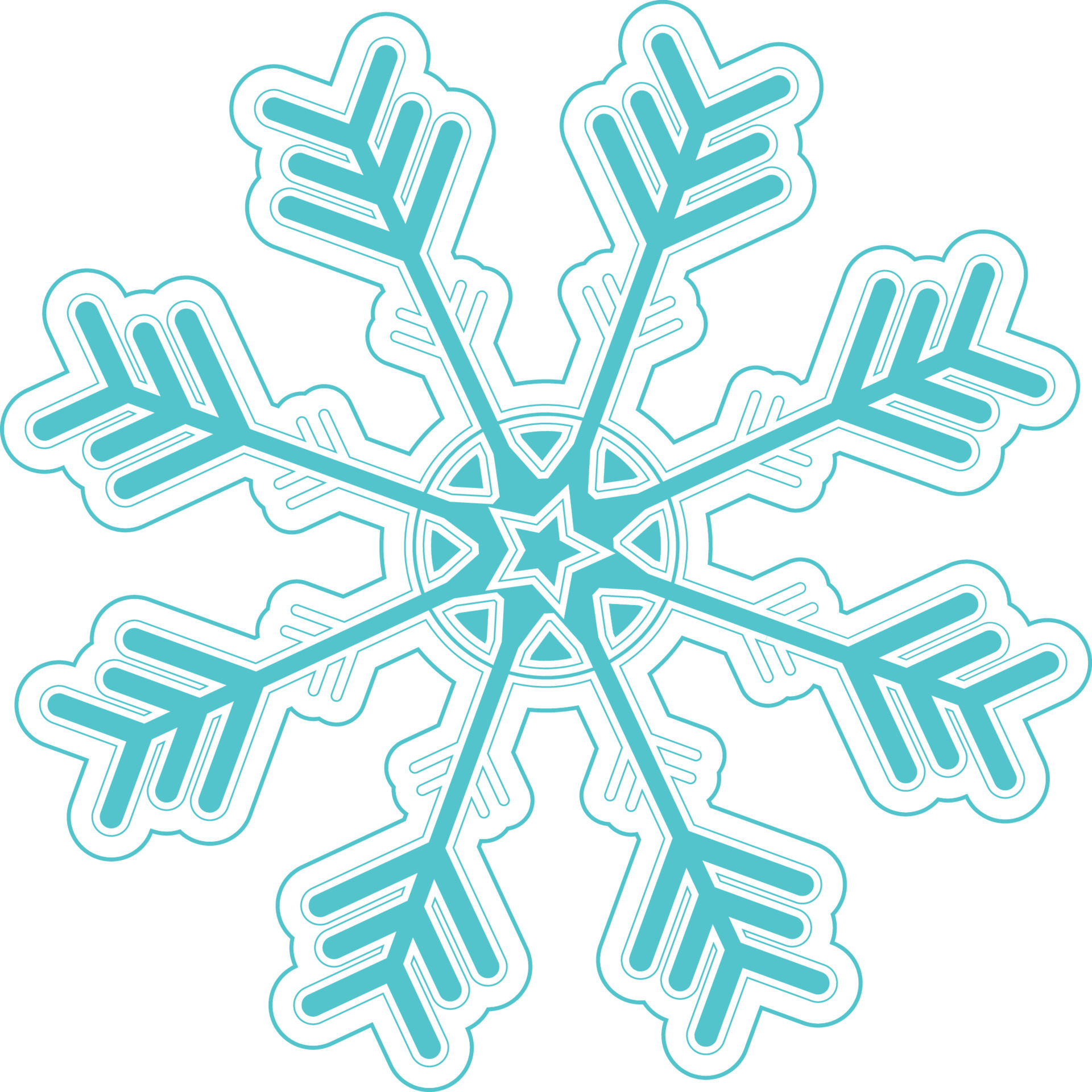 Snow Flower Eps vector art 16076353 Vector Art at Vecteezy